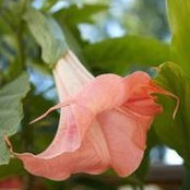 Kathy Joye's photo