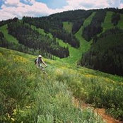 Kristen Schaefer's photo