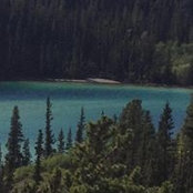 Connie Brown's photo