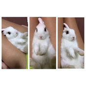 Photo de radicalmermaiddd_