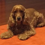 Irina Alston's photo