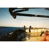 Jesse Northup's photo