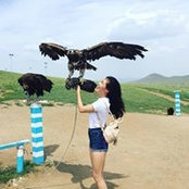 Evelyn Ho's photo