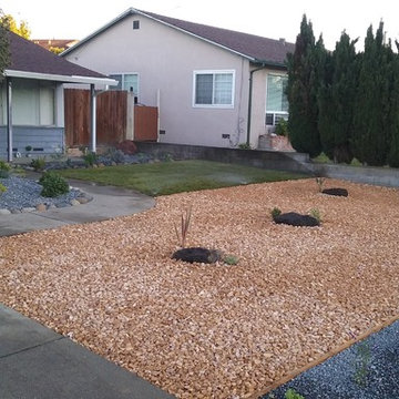 New Front Yard. Grass, Planting and Pebbles in San Pablo CA