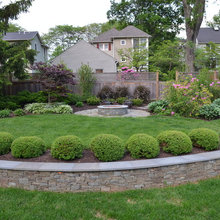 Front yard 2