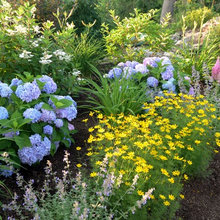 Garden ideas