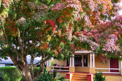 This is an example of a small craftsman partial sun front yard stone landscaping in Seattle.