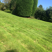 pastures garden
