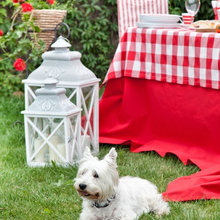 garden deco