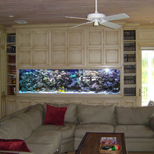 aquarium
