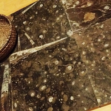 Ancient Seabed Natural Fossil Stone Collection Dark Brown (Chocolat) Tiles