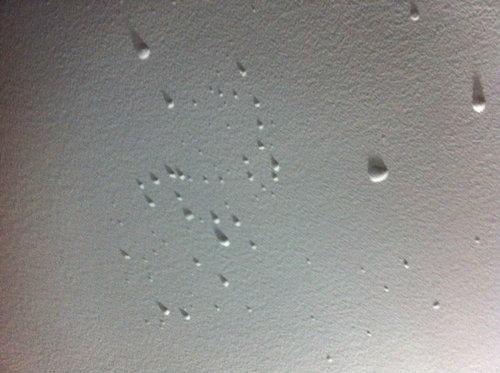 Ceiling Paint Bubbling What Am I Doing, Bathroom Ceiling Paint Bubbling