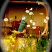 Cathy Vincevic's photo
