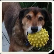 Jane Maas's photo
