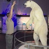 Mike Scott's photo