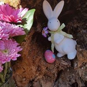 Eric Albrecht's photo
