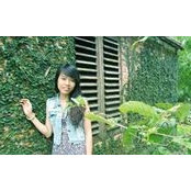 Foto de Vũ Chinh
