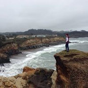David Golikov's photo