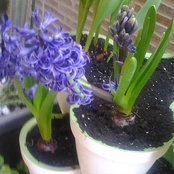 Foto de Cristina G.C.