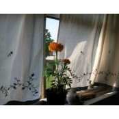Christa Gibson's photo