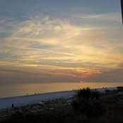 Janell Miller's photo