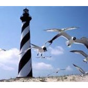Marylin Estes's photo