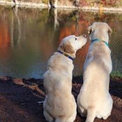 Linda Witkowski's photo