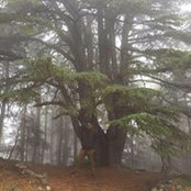 Photo de Pablo Zepeda