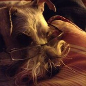 Mara Lincoln's photo