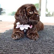 Natalie Kubicki's photo