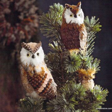 Christmas Trees