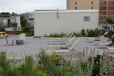 Photo of a contemporary landscaping in New York.