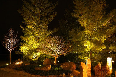 This is an example of a traditional landscaping in Detroit.