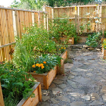 Raised Garden Beds