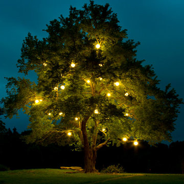 Outdoor Lighting at Arrington Vineyards in Arrington, TN