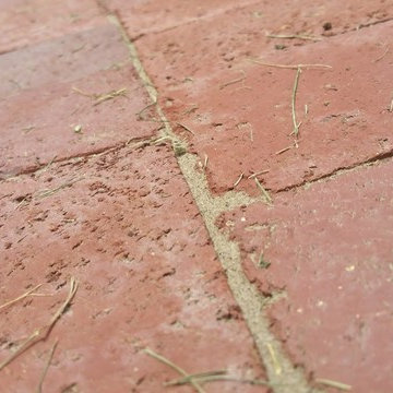 Brick Pathway
