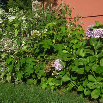 Il giardino di casa
