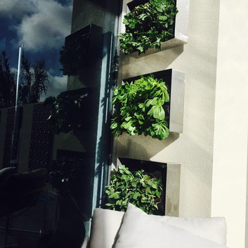 Payneham Courtyard One- Under Construction