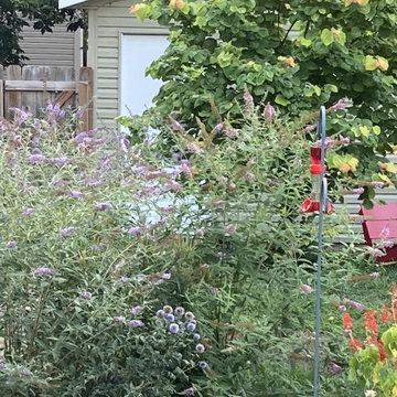 Butterflies and hummingbirds flock to this garden