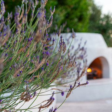 Paradise Pool and Outdoor Living Landscape on Paradise Valley