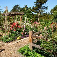 Vegetable Gardens