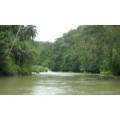 Gina Olvis's photo