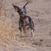 Allison Payne's photo