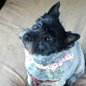 Sue Kovacs's photo