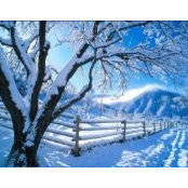 Lisa Houle's photo