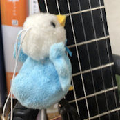 平中良和さんの写真