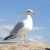 Foto de Karin Probst
