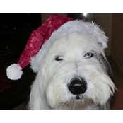 Chris Crowell's photo