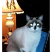 Donna Husmann's photo