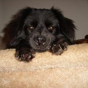 Nicole Stewart's photo